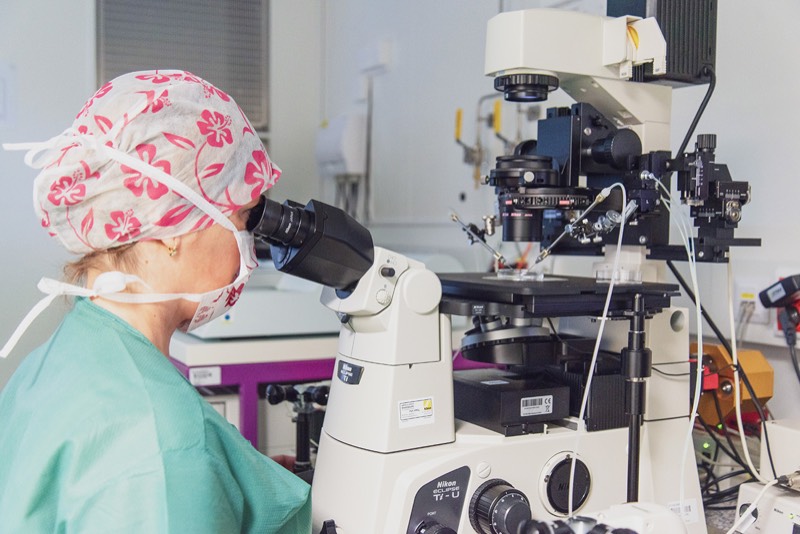 Embryoložka u&nbsp;mikroskopu v&nbsp;embryologické laboratoři